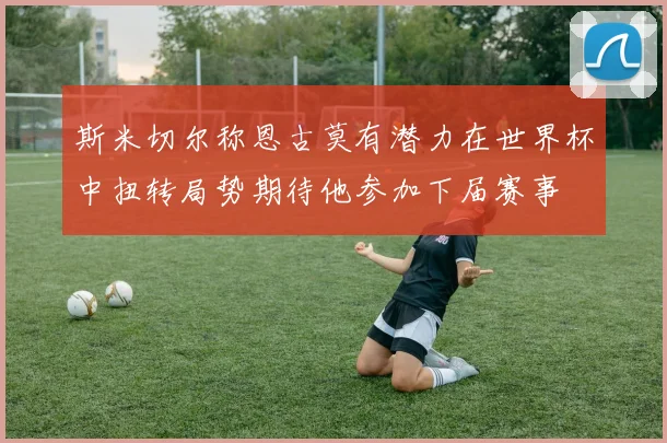 斯米切尔称恩古莫有潜力在世界杯中扭转局势期待他参加下届赛事