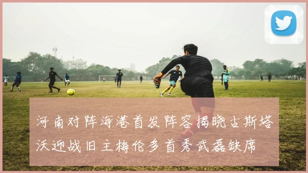 河南对阵海港首发阵容揭晓古斯塔沃迎战旧主梅伦多首秀武磊缺席